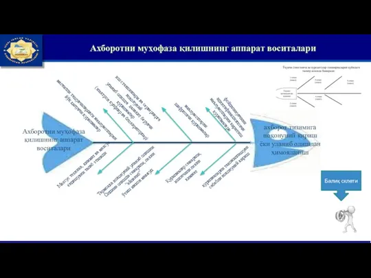 Ахборотни муҳофаза қилишнинг аппарат воситалари Балиқ склети