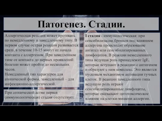 Патогенез. Стадии. I стадия - иммунологическая: при сенсибилизации бронхов под влиянием аллергена