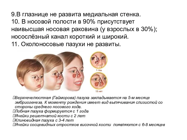 9.В глазнице не развита медиальная стенка. 10. В носовой полости в 90%