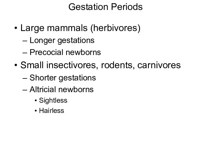 Gestation Periods Large mammals (herbivores) Longer gestations Precocial newborns Small insectivores, rodents,
