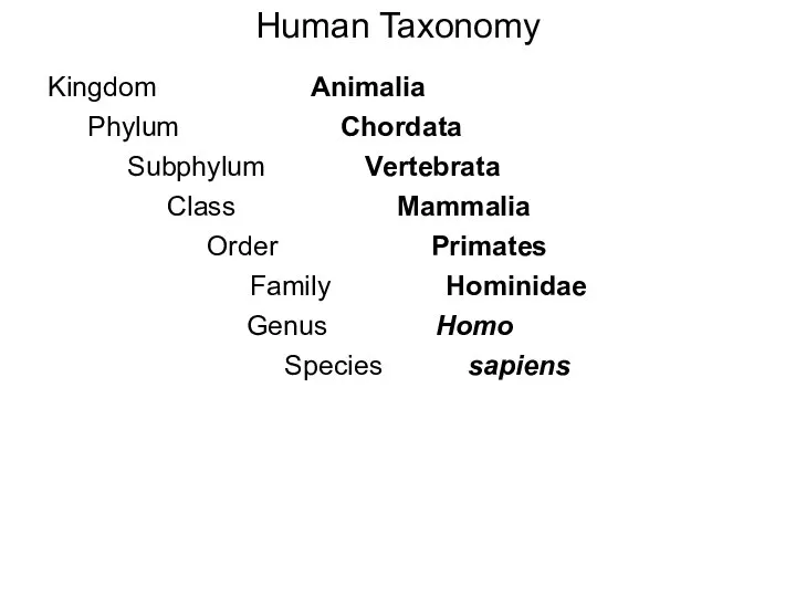 Human Taxonomy Kingdom Animalia Phylum Chordata Subphylum Vertebrata Class Mammalia Order Primates