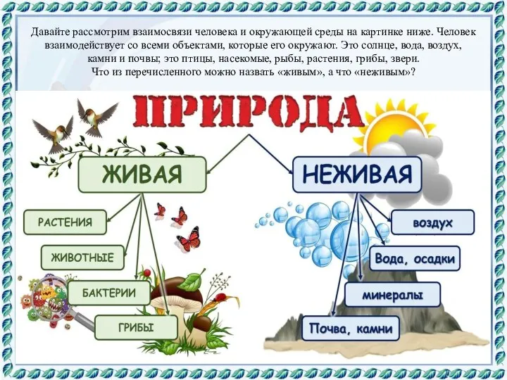 Давайте рассмотрим взаимосвязи человека и окружающей среды на картинке ниже. Человек взаимодействует