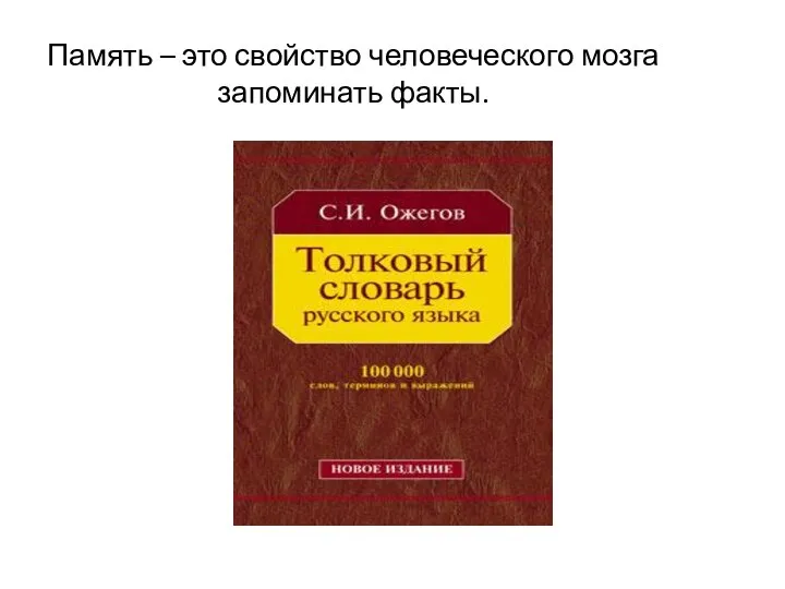 Память – это свойство человеческого мозга запоминать факты.