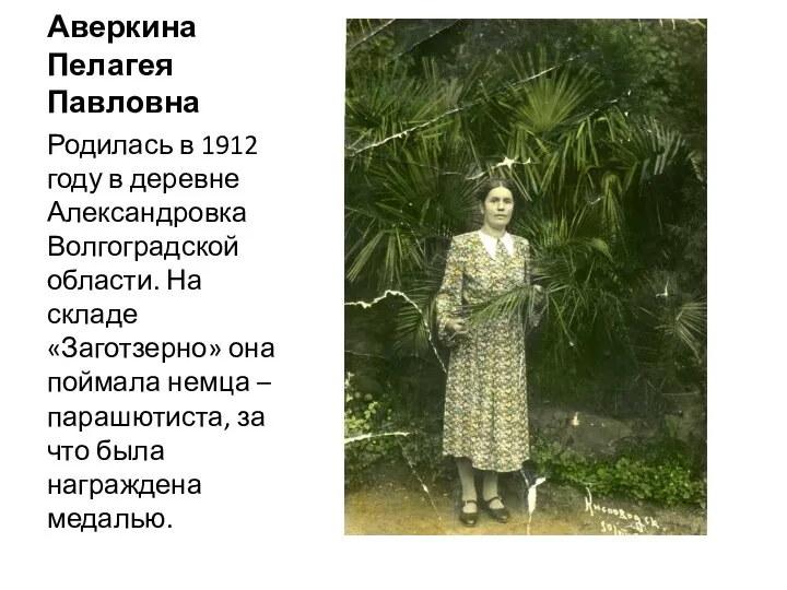 Аверкина Пелагея Павловна Родилась в 1912 году в деревне Александровка Волгоградской области.