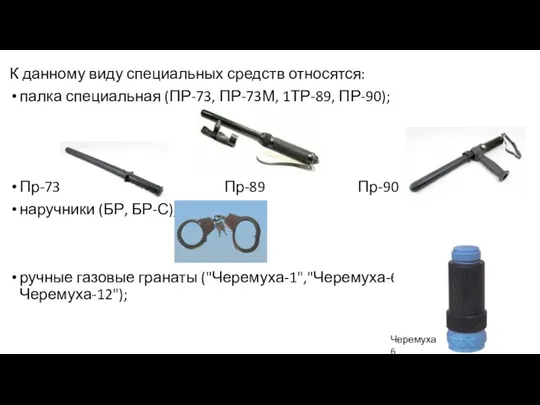 К данному виду специальных средств относятся: палка специальная (ПР-73, ПР-73М, 1ТР-89, ПР-90);