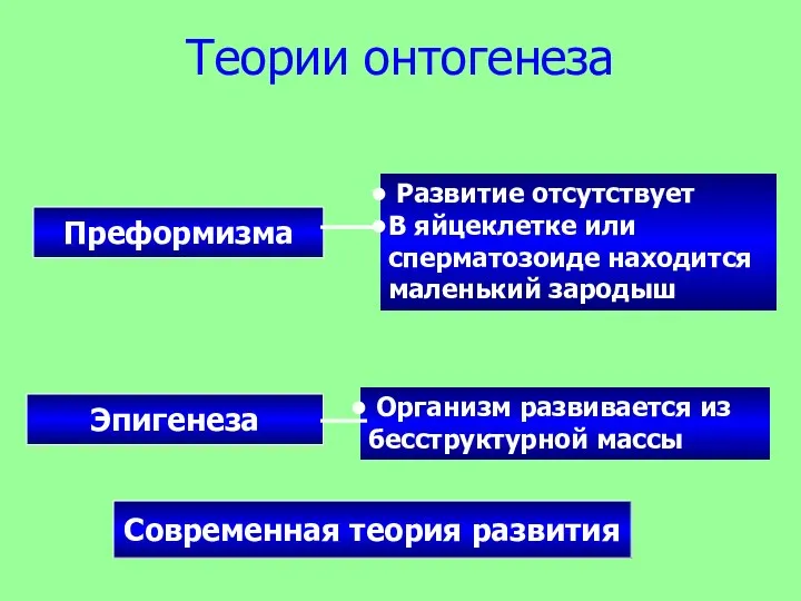 Теории онтогенеза Преформизма Эпигенеза Современная теория развития Развитие отсутствует В яйцеклетке или