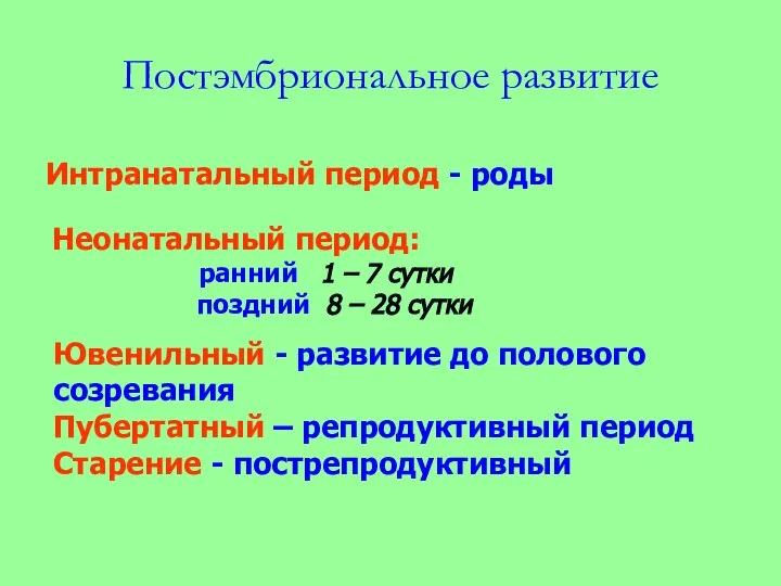 Постэмбриональное развитие Интранатальный период - роды Неонатальный период: ранний 1 – 7