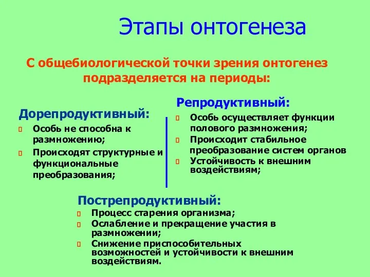 Этапы онтогенеза Дорепродуктивный: Особь не способна к размножению; Происходят структурные и функциональные