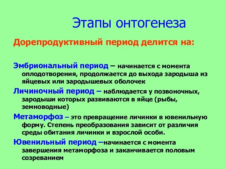 Этапы онтогенеза Дорепродуктивный период делится на: Эмбриональный период – начинается с момента