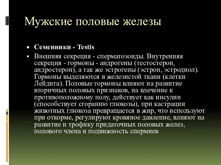 Мужские половые железы Семенники - Testis Внешняя секреция - сперматозоиды. Внутренняя секреция