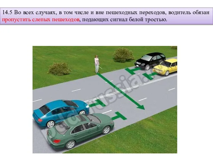 14.5 Во всех случаях, в том числе и вне пешеходных переходов, водитель