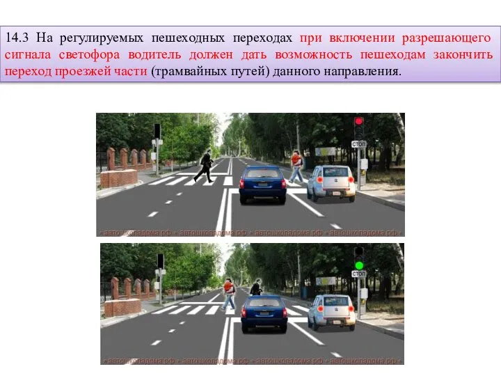 14.3 На регулируемых пешеходных переходах при включении разрешающего сигнала светофора водитель должен