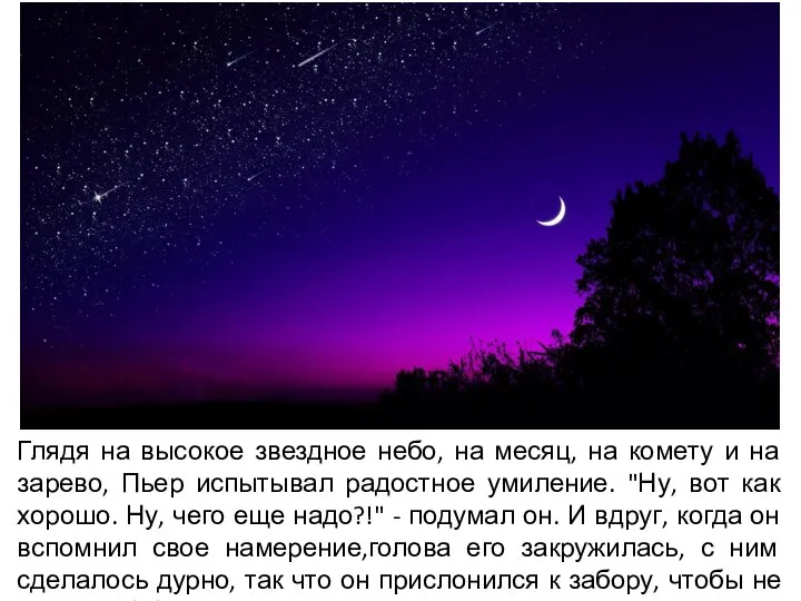 Глядя на высокое звездное небо, на месяц, на комету и на зарево,