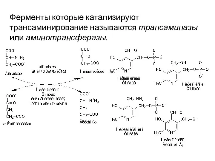 Ферменты которые катализируют трансаминирование называются трансаминазы или аминотрансферазы.