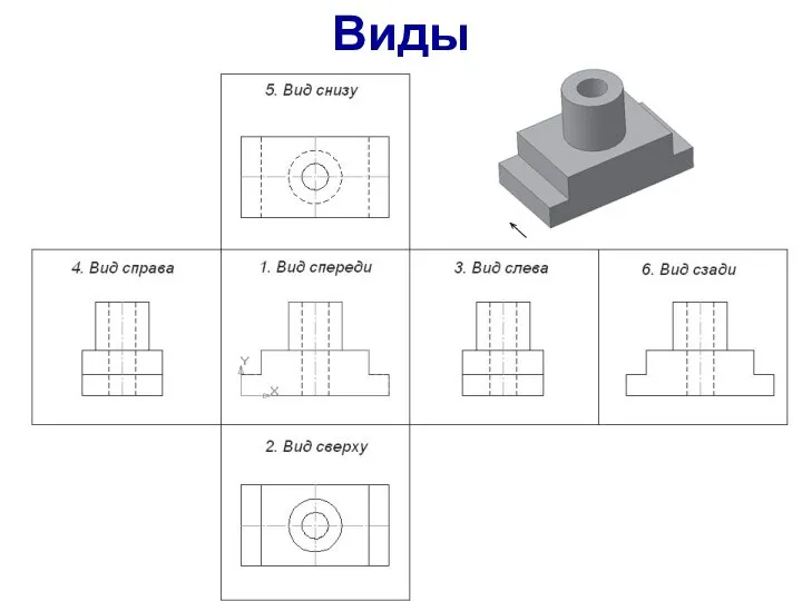 Виды