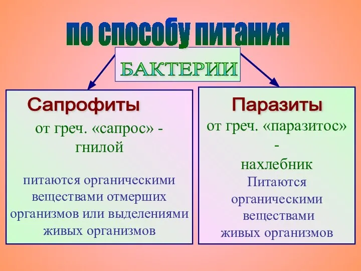 от греч. «сапрос» - гнилой питаются органическими веществами отмерших организмов или выделениями