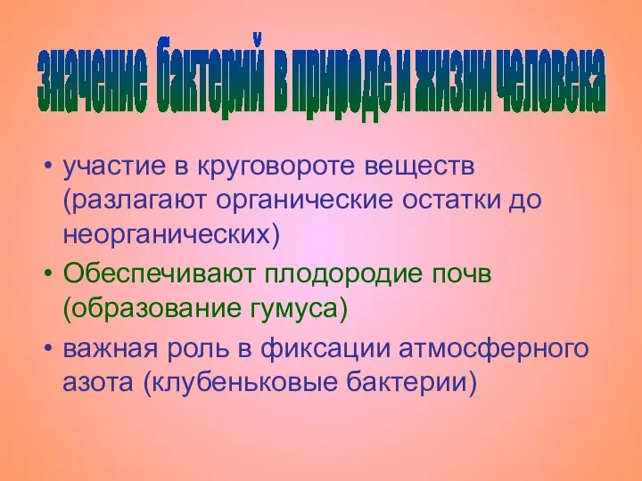 участие в круговороте веществ (разлагают органические остатки до неорганических) Обеспечивают плодородие почв