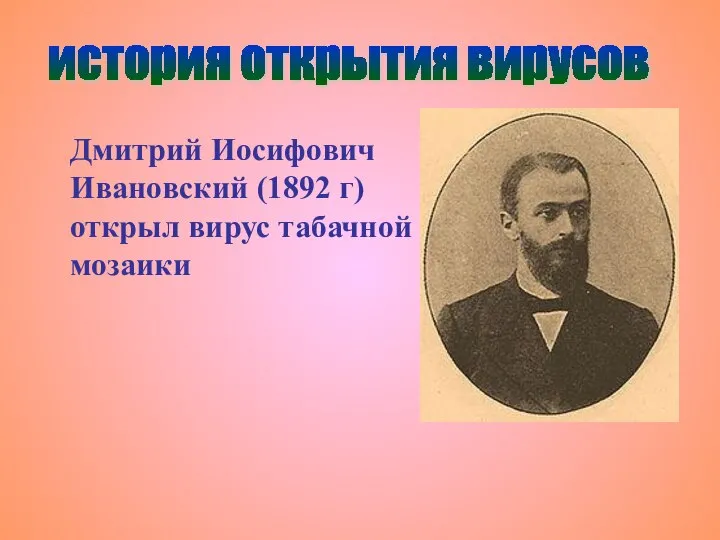 Дмитрий Иосифович Ивановский (1892 г) открыл вирус табачной мозаики история открытия вирусов
