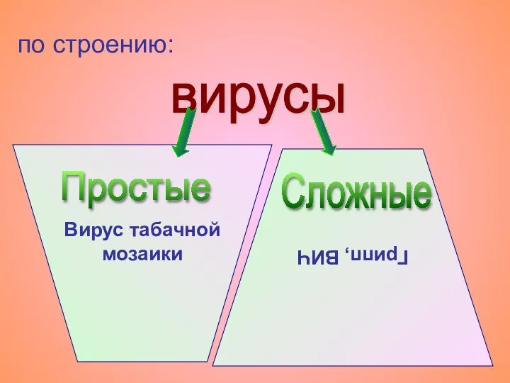 Вирус табачной мозаики вирусы Простые Грипп, ВИЧ Сложные по строению: