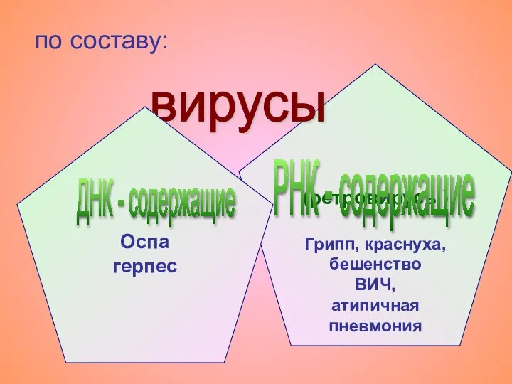 (ретровирусы) Грипп, краснуха, бешенство ВИЧ, атипичная пневмония по составу: вирусы Оспа герпес