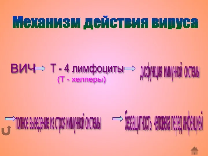 Механизм действия вируса ВИЧ Т - 4 лимфоциты (Т - хелперы) дисфункция