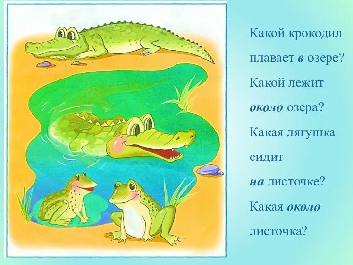 Какой крокодил плавает в озере? Какой лежит около озера? Какая лягушка сидит