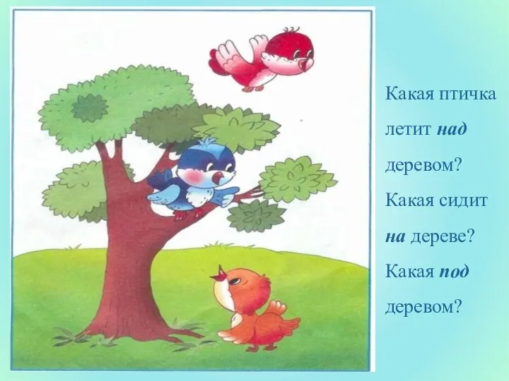 Какая птичка летит над деревом? Какая сидит на дереве? Какая под деревом?