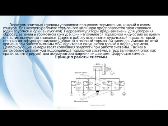 Электромагнитные клапаны управляют процессом торможения, каждый в своем контуре. Для каждого рабочего