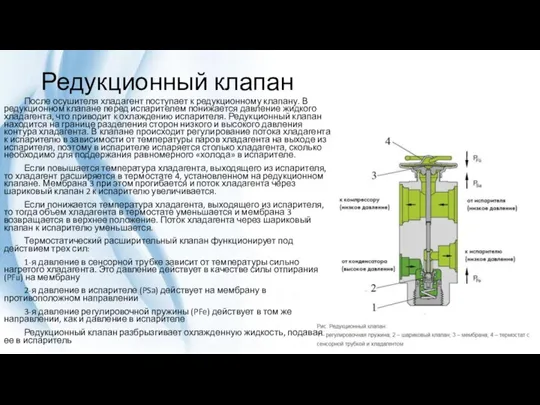 Редукционный клапан После осушителя хладагент поступает к редукционному клапану. В редукционном клапане