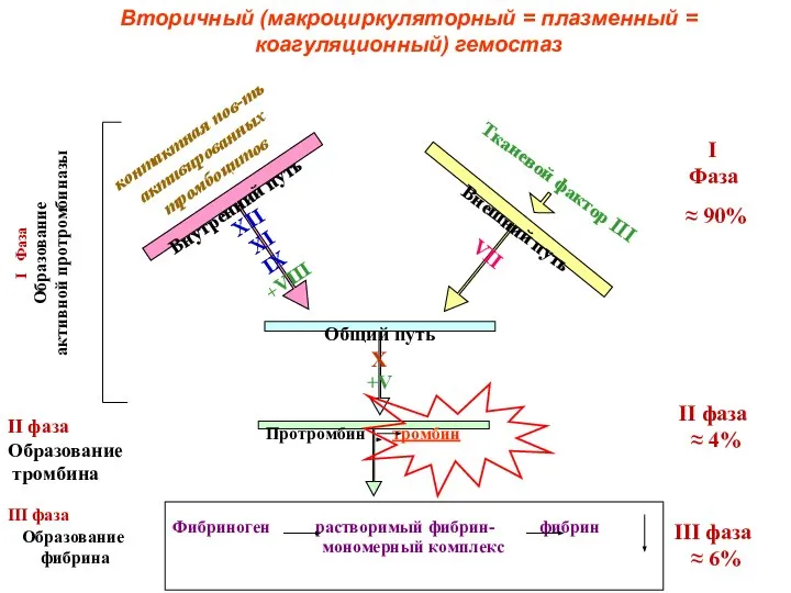 X +V Протромбин тромбин Фибриноген растворимый фибрин- фибрин мономерный комплекс Общий путь