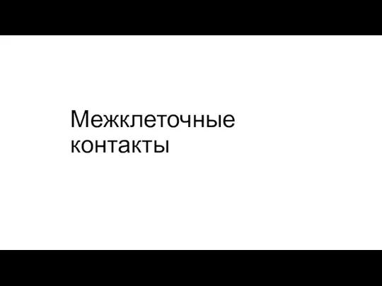 Межклеточные контакты