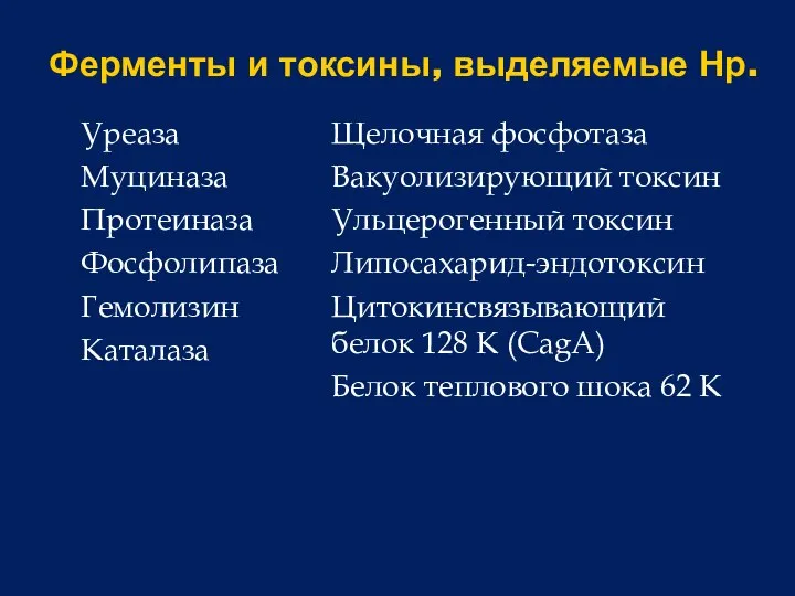 Ферменты и токсины, выделяемые Нр. Уреаза Муциназа Протеиназа Фосфолипаза Гемолизин Каталаза Щелочная