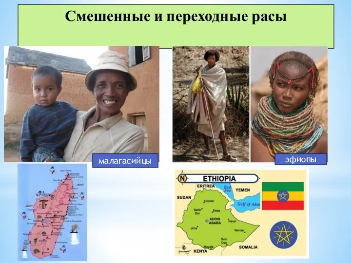 Смешенные и переходные расы малагасийцы эфиопы