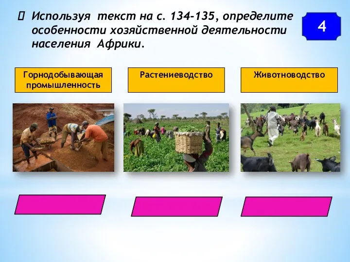 Используя текст на с. 134-135, определите особенности хозяйственной деятельности населения Африки. 4 Горнодобывающая промышленность Растениеводство Животноводство