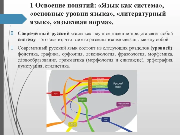 1 Освоение понятий: «Язык как система», «основные уровни языка», «литературный язык», «языковая