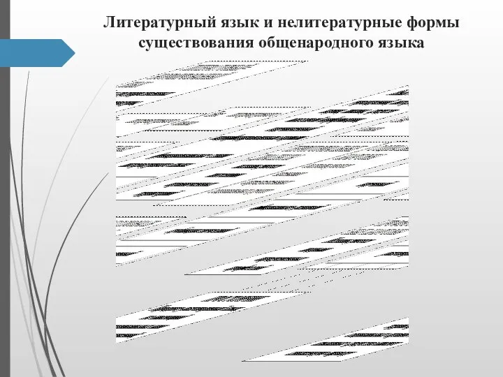 Литературный язык и нелитературные формы существования общенародного языка