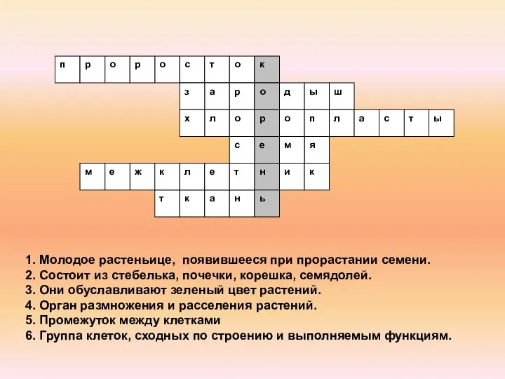 1. Молодое растеньице, появившееся при прорастании семени. 2. Состоит из стебелька, почечки,