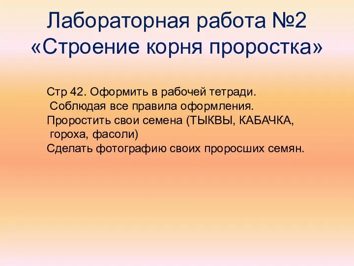 Лабораторная работа №2 «Строение корня проростка» Стр 42. Оформить в рабочей тетради.