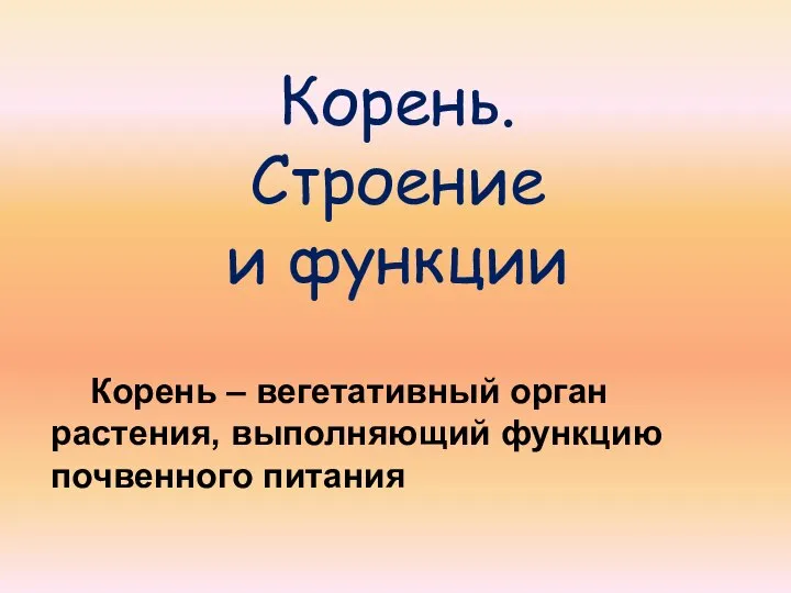 Корень. Строение и функции Корень – вегетативный орган растения, выполняющий функцию почвенного питания