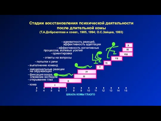 Стадии восстановления психической деятельности после длительной комы (Т.А.Доброхотова и соавт., 1985, 1994;