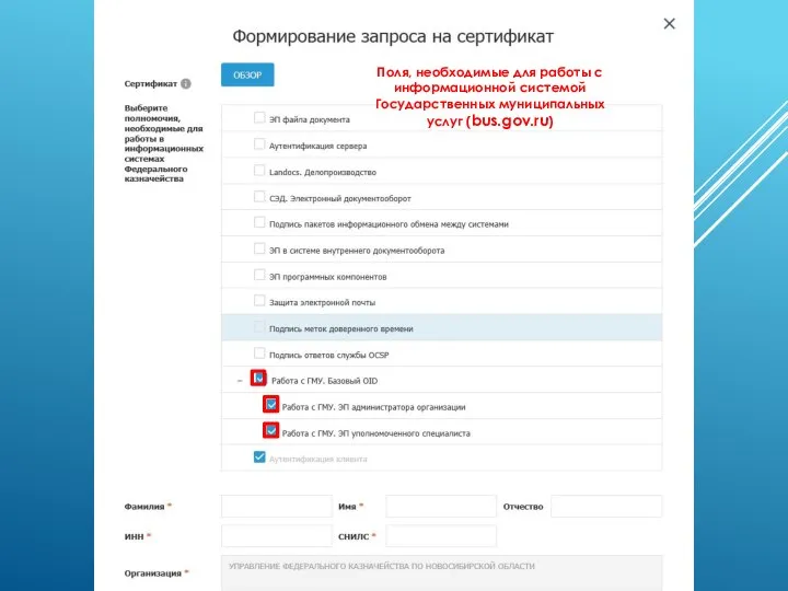 Поля, необходимые для работы с информационной системой Государственных муниципальных услуг (bus.gov.ru)