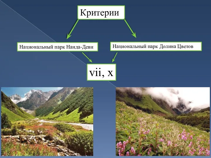 Критерии Национальный парк Нанда-Деви Национальный парк Долина Цветов vii, x