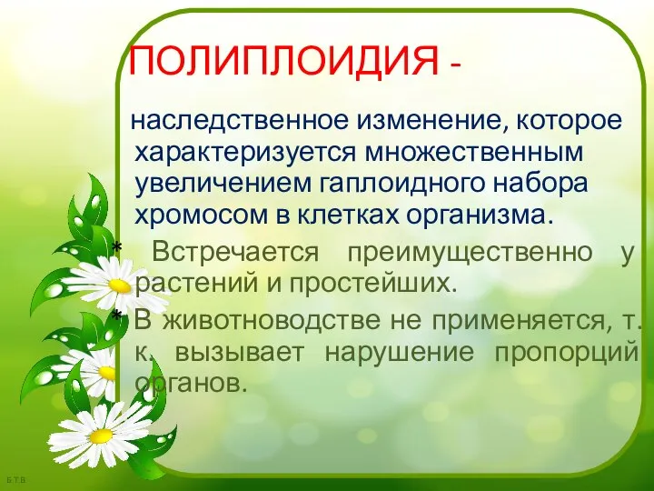 ПОЛИПЛОИДИЯ - наследственное изменение, которое характеризуется множественным увеличением гаплоидного набора хромосом в