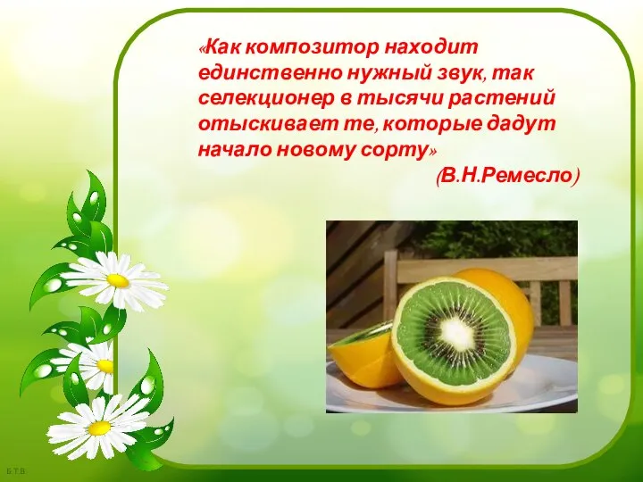 «Как композитор находит единственно нужный звук, так селекционер в тысячи растений отыскивает