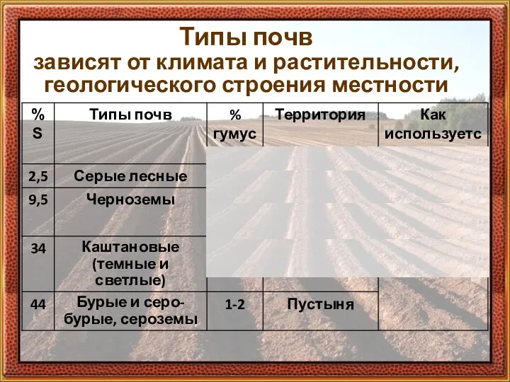 Типы почв зависят от климата и растительности, геологического строения местности