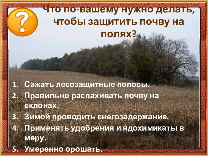 Что по-вашему нужно делать, чтобы защитить почву на полях? Сажать лесозащитные полосы.