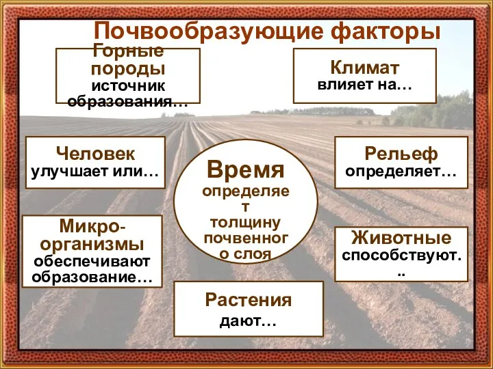 Почвообразующие факторы Время определяет толщину почвенного слоя Горные породы источник образования… Растения