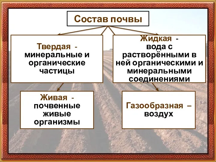 Состав почвы Газообразная – воздух Живая - почвенные живые организмы Твердая -