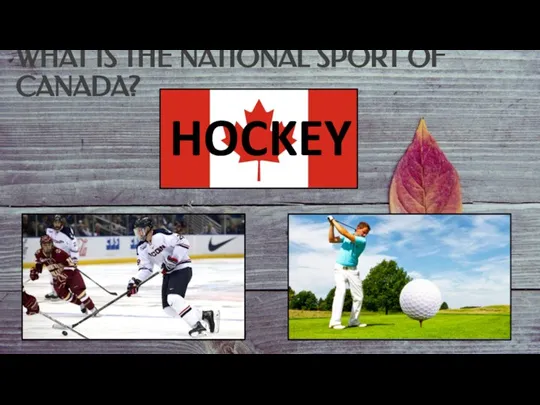 WHAT IS THE NATIONAL SPORT OF CANADA? HOCKEY