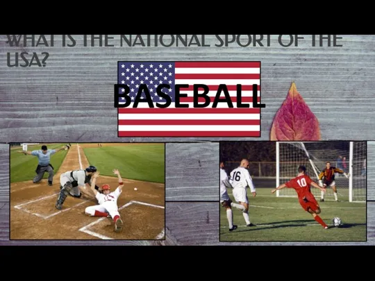 WHAT IS THE NATIONAL SPORT OF THE USA? BASEBALL